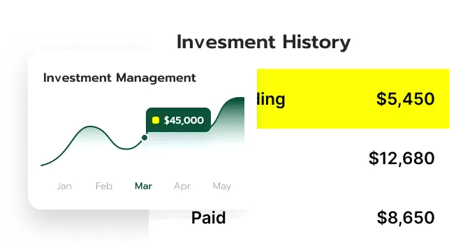 Salik financial analysis